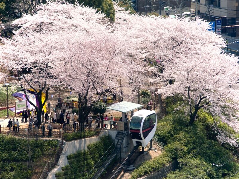 【北区】飛鳥山公園