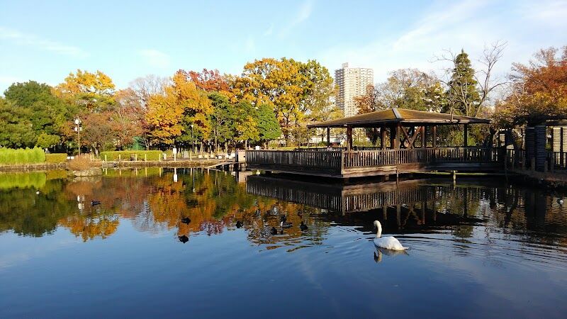 【荒川区】荒川自然公園